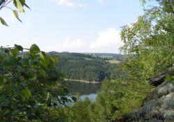 Skály porostlé mechem