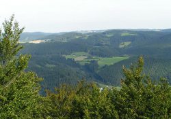 Údolí kolem Švařce