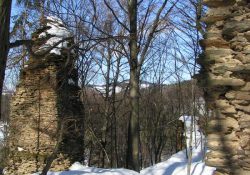 (Fotografie bez názvu)