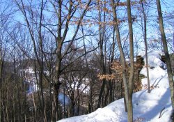 (Fotografie bez názvu)