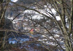 (Fotografie bez názvu)