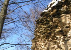 (Fotografie bez názvu)