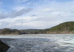 Jezero přehrady Vír