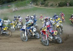 (Fotografie bez názvu)