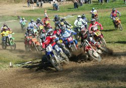 (Fotografie bez názvu)