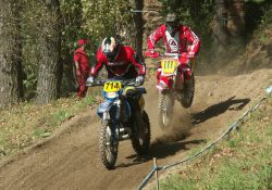 (Fotografie bez názvu)