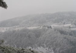 Kobylnice skryté v ojíněných stromech