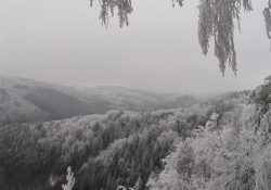 Údolí Víru mezi svahy