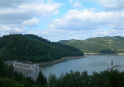 (Fotografie bez názvu)