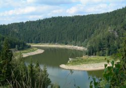 (Fotografie bez názvu)