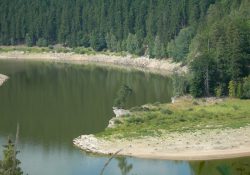 (Fotografie bez názvu)