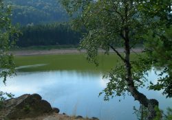 (Fotografie bez názvu)