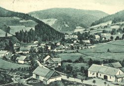 Vír u silnice k Rovečnému