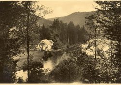 Údolí pod budoucí dolní přehradou