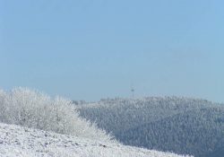 Rozhledna Horní les u Rovečného