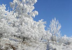 Další polní cesta