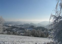 Kopce na levém břehu přehrady