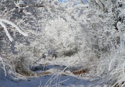 Další zapomenutá cesta v zajetí zimy