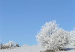 Zarostlá hromada starého kamení
