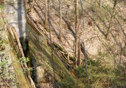 Stěna přehrady zarostlá mechem