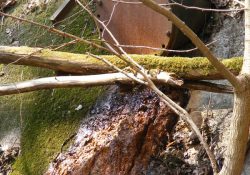 Reznoucí výpusť vody