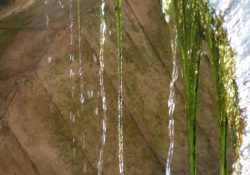 Hráz už po letech moc netěsní