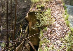 Starý beton v zajetí přírody