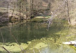 Tajuplná vodní hladina