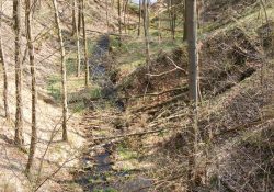 Pohled k hladině přehrady