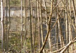 Stará hráz v zarostlém údolí