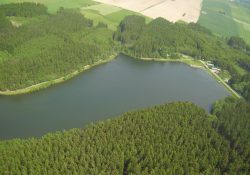 Domanínský rybník