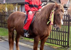 (Fotografie bez názvu)