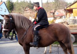 (Fotografie bez názvu)