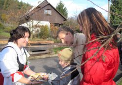 (Fotografie bez názvu)