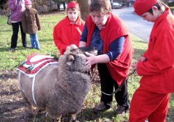 (Fotografie bez názvu)