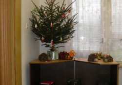 Vánoční variace 2010