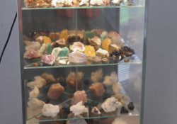 Výstava Evy Londinové