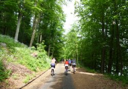 Kola na pravobřežce