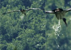 Já se na to můžu vy….