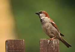 (Fotografie bez názvu)