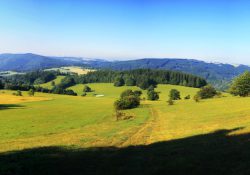 Panorama po Horním lesem