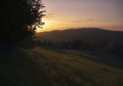 Ranní pohled na Horní les od Hlubokého