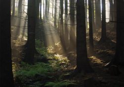 Ráno po bouřce na staré pile