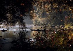 Romantická zákoutí řeky Svratky ve Víru