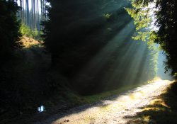 Úpatí Horního lesa