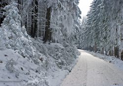 Zima na Horním lese