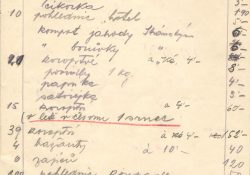 Věci přenechané paní Woagnerové