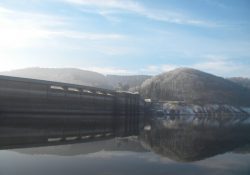 (Fotografie bez názvu)