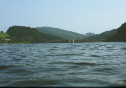 (Fotografie bez názvu)