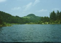 (Fotografie bez názvu)